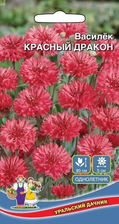 Купить оптом в Ботанике семена Василек Красный Дракон УД бренд Уральский дачник