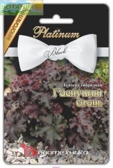 Купить оптом в Ботанике семена Гейхера гибридная Гаснущий Огонь Био бренд Биотехника