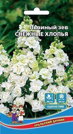 Купить оптом в Ботанике семена Львиный зев Снежные хлопья УД бренд Уральский дачник