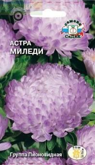 Купить оптом в Ботанике семена Астра Миледи бело-голубая Сед бренд СеДеК