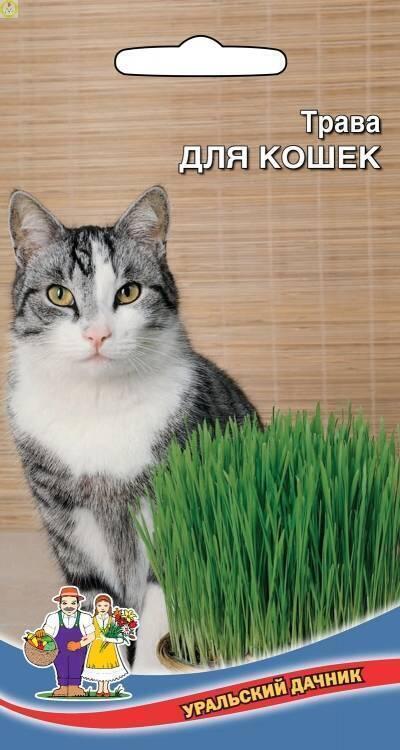 Купить оптом в Ботанике семена Трава Для кошек УД бренд Уральский дачник