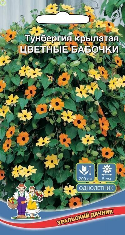 Купить оптом в Ботанике семена Тунбергия Цветные бабочки УД бренд Уральский дачник