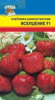 Купить оптом в Ботанике семена Клубника Искушение F1 УУ бренд Урожай Удачи