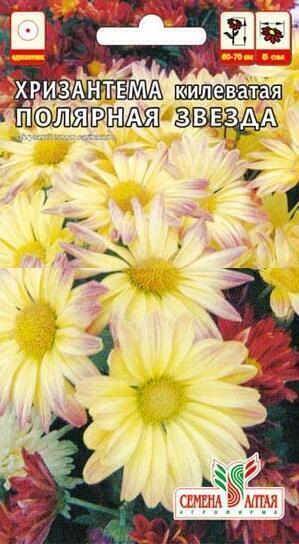 Купить оптом в Ботанике семена Хризантема Полярная звезда килеватая СА бренд Семена Алтая