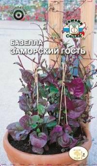 Купить оптом в Ботанике семена Базелла Заморский гость Сед бренд СеДеК