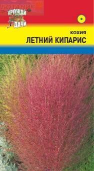 Купить оптом в Ботанике семена Кохия Летний кипарис УУ бренд Урожай Удачи