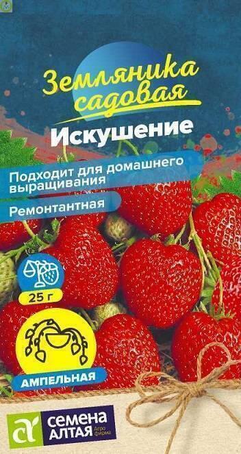 Купить оптом в Ботанике семена Земляника Искушение ремонтантная СА бренд Семена Алтая