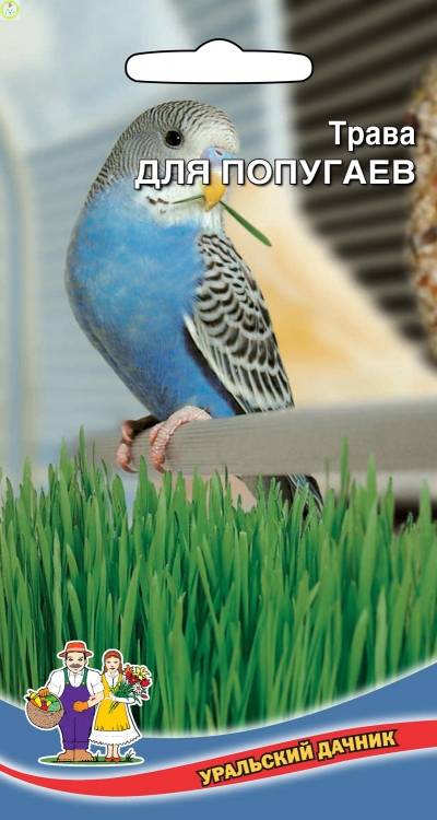 Купить оптом в Ботанике семена Трава Для Попугаев УД бренд Уральский дачник