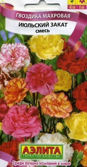 Купить оптом в Ботанике семена Гвоздика садовая Июльский закат Аэл бренд Аэлита