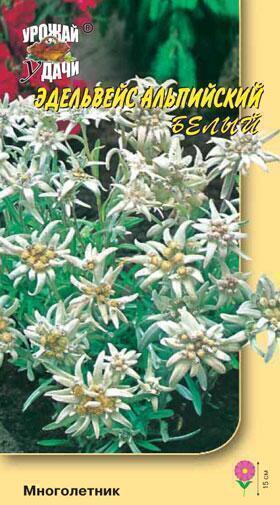 Купить оптом в Ботанике семена Эдельвейс Альпийский УУ бренд Урожай Удачи