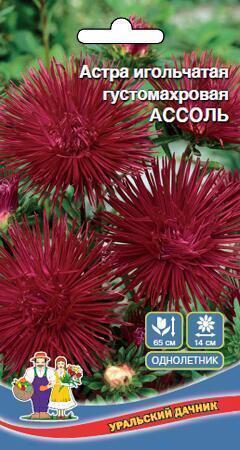 Купить оптом в Ботанике семена Астра Ассоль УД бренд Уральский дачник