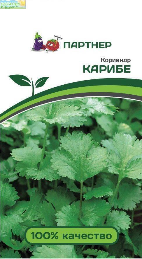 Купить оптом в Ботанике семена Кориандр Карибе Пар бренд Партнер