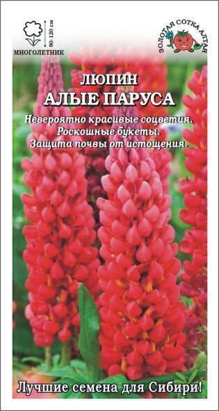 Купить оптом в Ботанике семена Люпин Алые Паруса ЗС бренд Золотая сотка