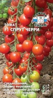 Купить оптом в Ботанике семена Томат Спрут черри Сед бренд СеДеК
