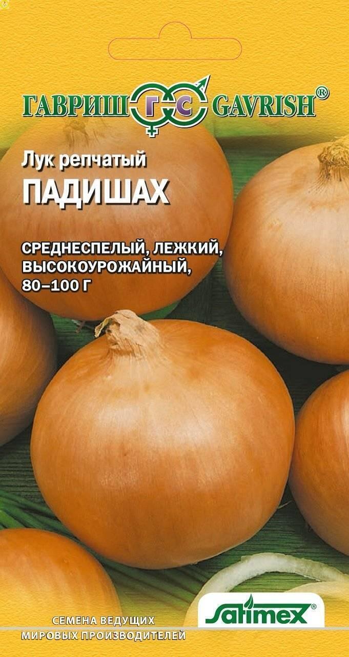 Купить оптом в Ботанике семена Лук репчатый Падишах Гав бренд Гавриш