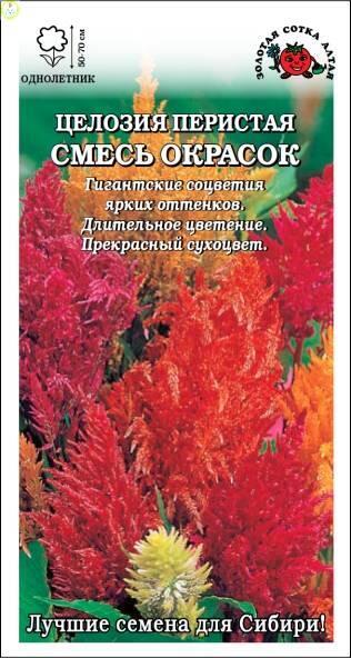 Купить оптом в Ботанике семена Целозия перистая смесь ЗС бренд Золотая сотка