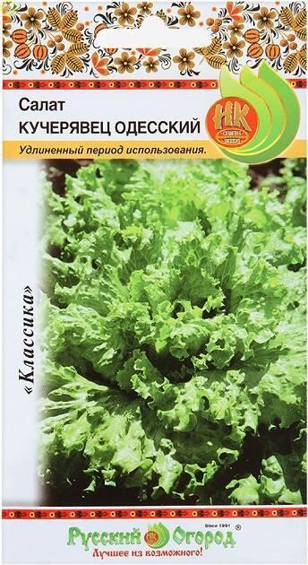 Купить оптом в Ботанике семена Салат Кучерявец Одесский кочанный НК бренд НК