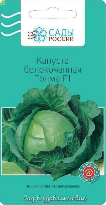 Купить оптом в Ботанике семена Капуста белокочанная Топма СиО бренд Сад и огород