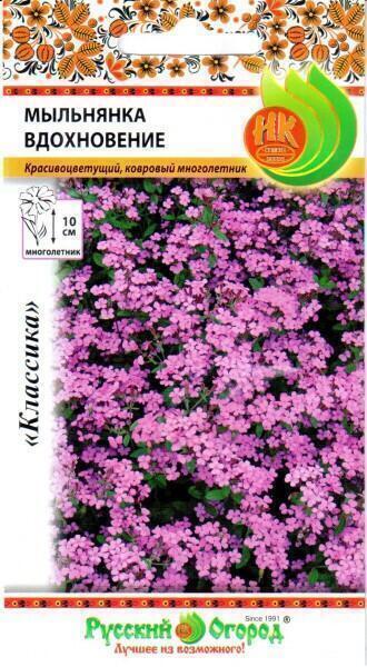 Купить оптом в Ботанике семена Мыльнянка Вдохновение НК бренд НК