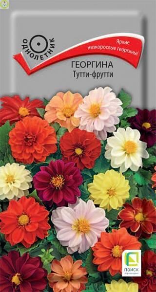 Купить оптом в Ботанике семена Георгина Тутти-фрутти Поиск бренд Поиск