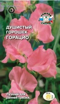Купить оптом в Ботанике семена Душистый горошек Горацио Сед бренд СеДеК