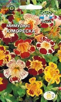 Купить оптом в Ботанике семена Мимулюс Юмореска Сед бренд СеДеК