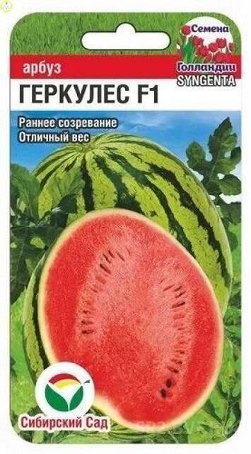 Купить оптом в Ботанике семена Арбуз Геркулес F1 СС бренд Сиб.сад