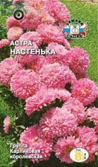 Купить оптом в Ботанике семена Астра Настенька Сед бренд СеДеК
