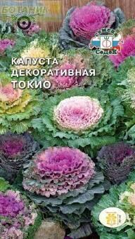 Купить оптом в Ботанике семена Капуста декоративная Токио Сед бренд СеДеК