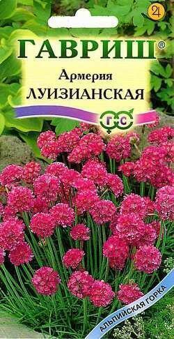 Купить оптом в Ботанике семена Армерия Луизианская Гав бренд Гавриш