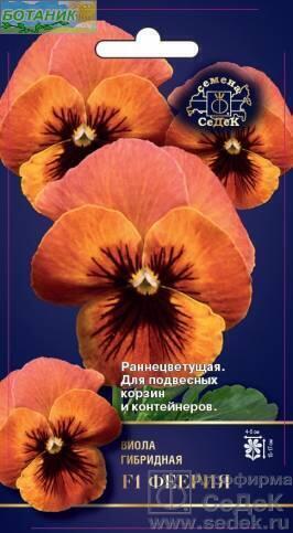 Купить оптом в Ботанике семена Виола Феерия F1 Сед бренд СеДеК