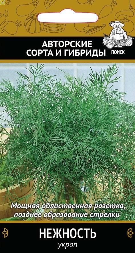 Купить оптом в Ботанике семена Укроп Нежность Поиск бренд Поиск