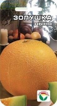 Купить оптом в Ботанике семена Дыня Золушка СС бренд Сиб.сад