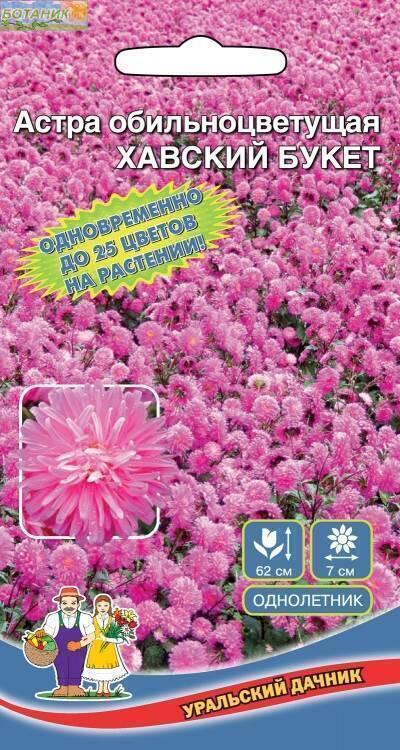Купить оптом в Ботанике семена Астра Роскошный Букет УД бренд Уральский дачник