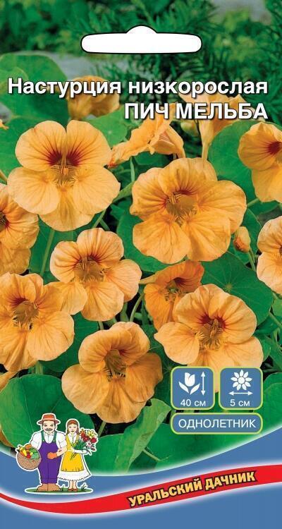 Купить оптом в Ботанике семена Настурция Пич Мельба УД бренд Уральский дачник