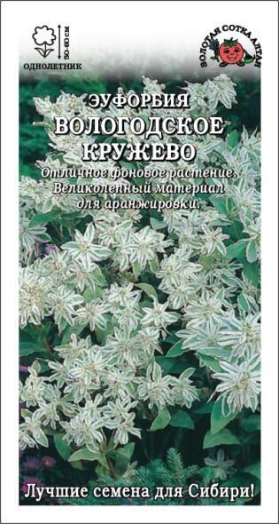 Купить оптом в Ботанике семена Эуфорбия Вологодское кружево ЗС бренд Золотая сотка