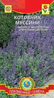 Купить оптом в Ботанике семена Котовник Фассена (Муссини) Плз бренд Плазмас