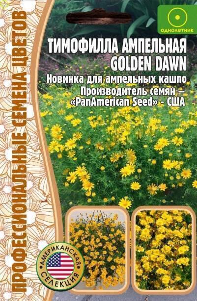 Купить оптом в Ботанике семена Тимофилла Golden Dawn ампельная Реш бренд Решение, ООО