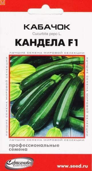 Купить оптом в Ботанике семена Кабачок Кандела F1 ССО бренд Сортсемовощ
