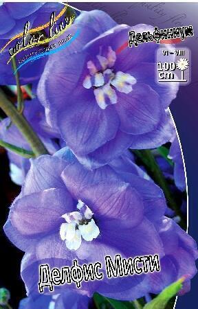 Купить оптом в Ботанике Дельфиниум Делфиз Мисти 1 шт