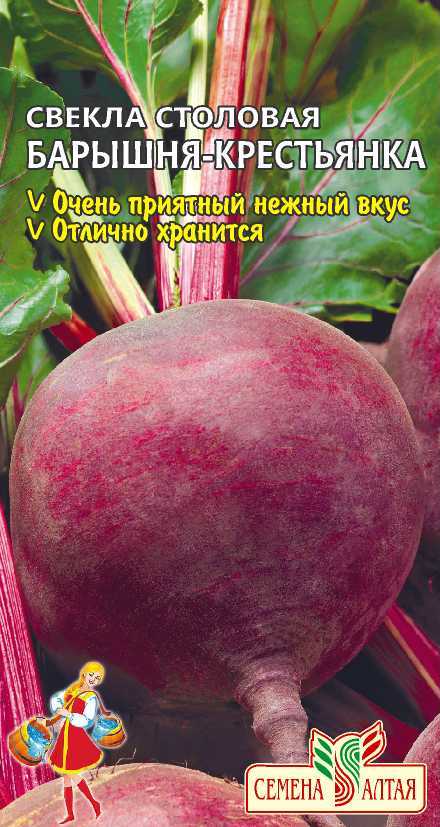 Купить оптом в Ботанике семена Свекла Барышня крестьянка СА бренд Семена Алтая