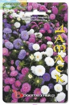 Купить оптом в Ботанике семена Астра Композиция Классик Дамаск Био бренд Биотехника