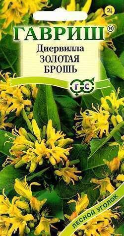 Купить оптом в Ботанике семена Диервилла Золотая брошь сидячецветковая Гав бренд Гавриш
