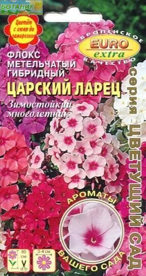 Купить оптом в Ботанике семена Флокс Царский ларец Аэл бренд Аэлита
