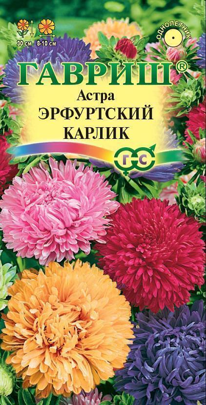 Купить оптом в Ботанике семена Астра Эрфуртский карлик смесь Гав бренд Гавриш