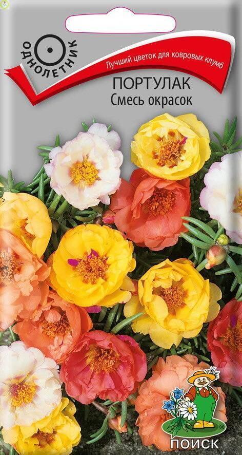 Купить оптом в Ботанике семена Портулак Смесь окрасок Поиск бренд Поиск
