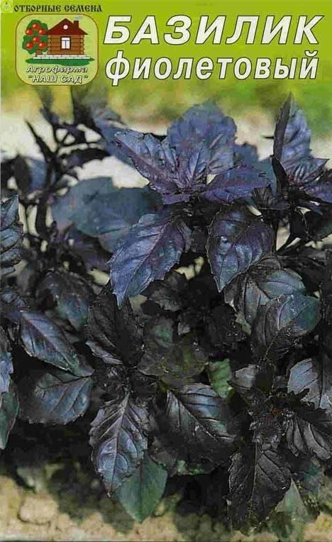 Купить оптом в Ботанике семена Базилик Фиолетовый Наш бренд Наш сад