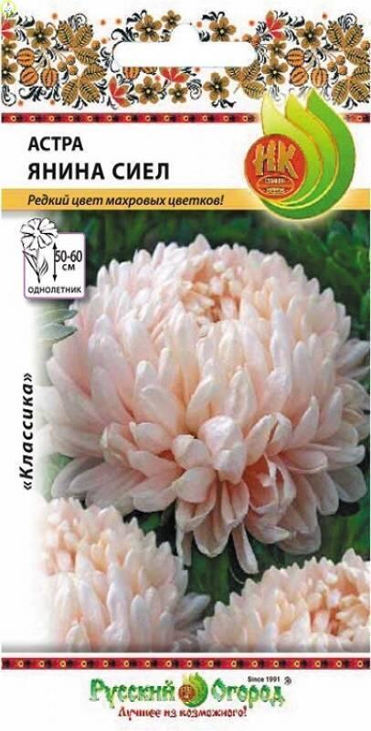 Купить оптом в Ботанике семена Астра Янина сиел НК бренд НК