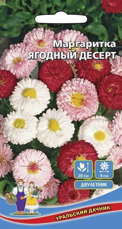 Купить оптом в Ботанике семена Маргаритка Ягодный Десерт УД бренд Уральский дачник