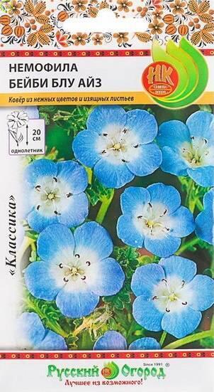 Купить оптом в Ботанике семена Немофила Бейби блу айз НК бренд НК